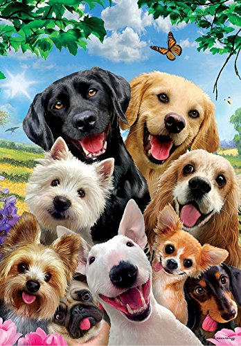 Wowdecor DIY Malen nach Zahlen Kits Geschenk für Erwachsene Kinder, Malen nach Zahlen Home Haus Dekor - Hund Mops Familie Schmetterling Blauer Himmel 40 x 50 cm Rahmen