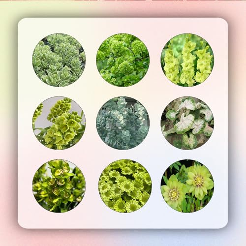 1350 pcs blumensamen set gastgeschenk - indoor garten bienen wiese,blumensamen set gastgeschenk, garten geschenke für männer winterharte kübelpflanzen deko pflanzen winterharte stauden