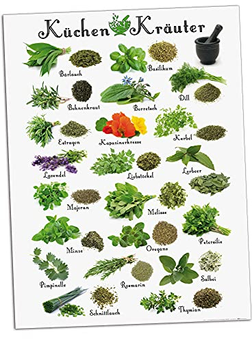 1art1 Kochkunst Poster Küchen-Kräuter Kunstdruck Bild 80x60 cm