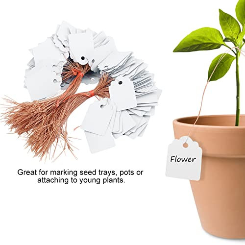 200 Stücke Pflanzenetiketten PVC Hängen Blumensamen Namensschild Label Marker Zeichen Outdoor Home Yard Pflanzenidentifikation(White)