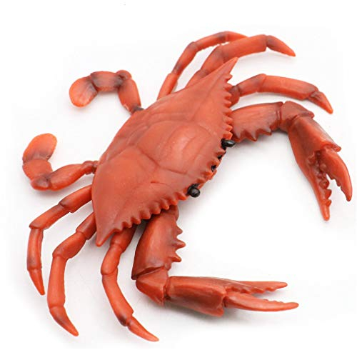 Ulalaza Kunststoff Krabben Modell Lebensechte Krabben Meerestierfiguren Nachahmung Ornament Desktop Dekoration Spielzeug Geschenke für Kinder
