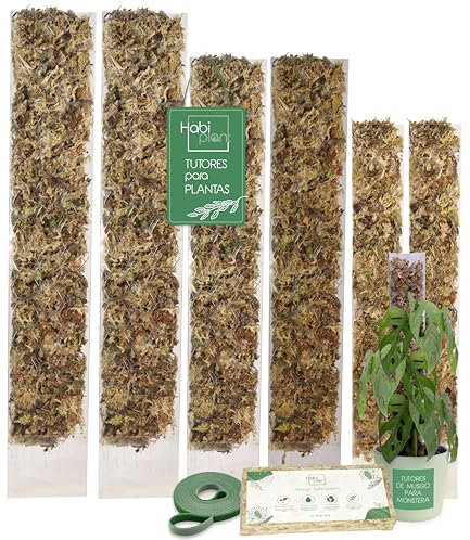 HABIPLANT Set de 6 Tutores de Musgo Extensibles para Plantas Trepadoras de Interior – Incluye Musgo Sphagnum 200g y Velcro 5m – Tamaños L/M/S – Soporte de Plastico Ideal para Monstera Pothos Aroides
