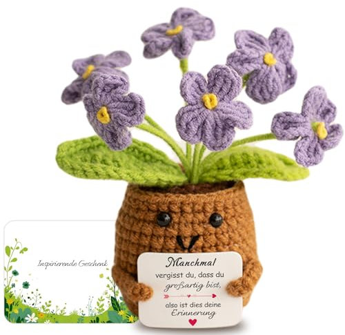 Aruigu Geschenke für Frauen Freundin,Geschenke für Mama,Für Schwestern,vergiss mein nicht Geschenke für Frauen,Inspirierende Geschenke für Freundin Schwester Kollegin Ehefrau Tante und Mutter