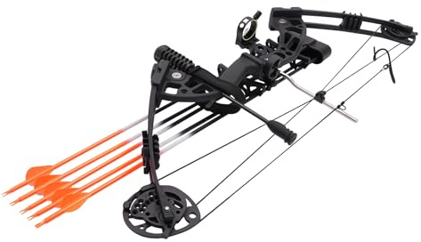 Compoundbogen Set, Jagdbogen, Einstellbar Compound Bogen Und Pfeile Set, 30-60 lbs, Zwölf Pfeile Und Zehn Zielscheiben, Sportbogen Outdoor Bogen Jagd Mit Komplettes Zubehör Kit