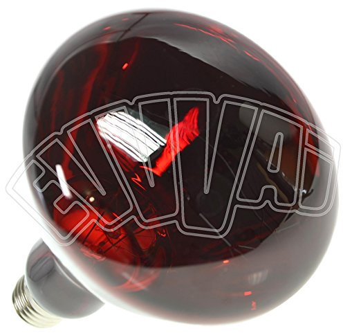 150W LAMPADA INFRAROSSI PER RIFLETTORE ROSSA E27 / RISCALDAMENTO PULCINI ANIMALI
