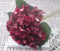 SWECOMZE Kunstblumen Künstliche Hortensie Blumen Dekoration Künstliche Hydrangeablume Hochzeit Dekor (Weinrot)