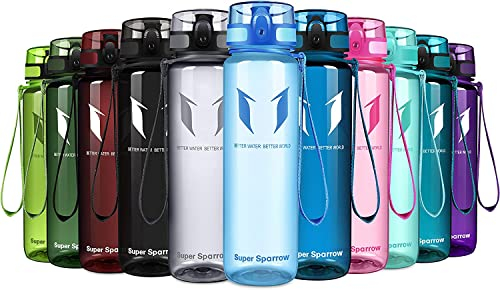 Super Sparrow Bouteille d'eau - Gourde - 500ml - sans BPA - Convient pour Le Sport, la randonnée, l'école, Le Bureau, en Plein air