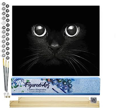 Figured'Art Peinture par Numéro Adulte Tête de Chat Noir - Activité Manuelle Kit de Loisir Créatif DIY Numéro d'Art Complet - 40x50cm avec châssis en bois à monter