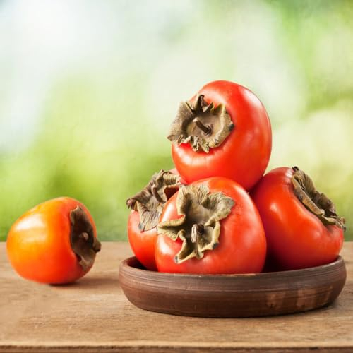 30 pcs kaki baum samen obst samen balkonpflanzen winterhart kakibaum,Diospyros kaki, baumsamen plants pflanzensamen obst frisch gartenarbeit geschenke für gartenliebhaber obstbäume