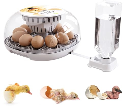 Brutmaschine Vollautomatisch, Brutgerät Brutapparat Inkubator Brutautomat mit Temperatur Kontrolle, Automatische Drehen & Wasserzufuhr Brutkasten für Hühner Enten Wachteln Geflügeleier (12 Eier)