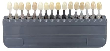 16/29 Farben Dentals Lab Bleaching Shade Guide 3D Teeth Whiten Vergleich Zahn Guide Zahnmedizin Klinik Colorimetric