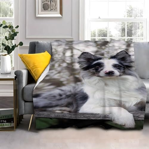 Flauschig Kuscheldecke 150x200cm Haustier SchäFerhund Wohndecke Warm Weiche Hautfreundlich Waschbar Kinder Erwachsene für Wohnzimmer, Schlafzimmer, Camping, Picknick