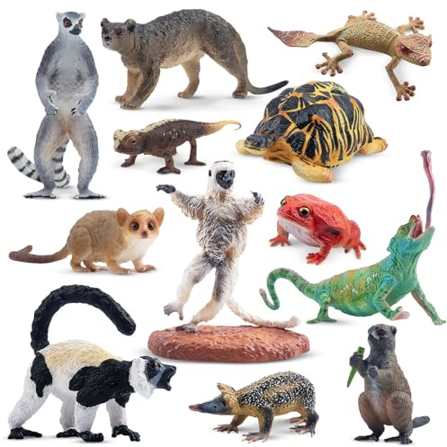 TOYMANY 12 Stück Wald Tiere-Figuren Set, realistische Madagaskar Spielzeug | Plastiktiere Dschungel Wild Zoo tierfiguren,Kuchen Topper Weihnachts Geburtstagsgeschenk,zum Spielen oder als Deko für Kinder