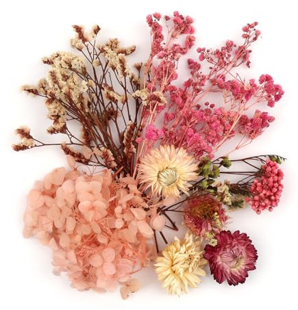 Trockenblumen Zum Basteln, Natürliche Getrocknete Blumen, Trockenblumen Klein, Getrocknete Blumen Deko für DIY Handwerk Epoxidharz Scrapbook Fotorahmen Karten Machen(Rosa)