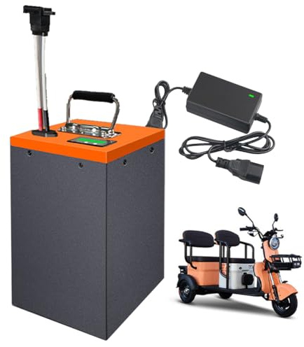 WSDAV Batteria agli ioni di Litio 48V 60V 72V Pacco Batteria al Litio 20Ah 25Ah 30Ah 40Ah 50Ah 60Ah per Motore 0-3600W con Caricabatterie,48v25ah