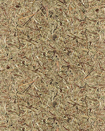 Wandverkleidung Natur Dekor WallFace AL-11001 ALPINE PURE selbstklebende Tapete strukturiert mit echten unbehandelten alpinen Blumen und Gräsern matt braun beige 4,15 m2