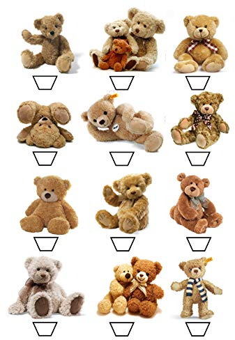 12 edible Teddy Bears picnic kids childrens party decorations Standing Cupcake Cake Toppers Wafer Rice Card