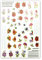 3 Blatt Nagelsticker - hauchdünne Stick On Nail Slides - Selbstklebende Nail Sticker mit Metallicfolie, Blumen