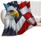 NIBABAEU Decke, Motiv: Adler, amerikanische Flagge der USA, weich, flauschig, gemütlich, bequem, für Couch, Sofa, Bett, 150 x 200 cm