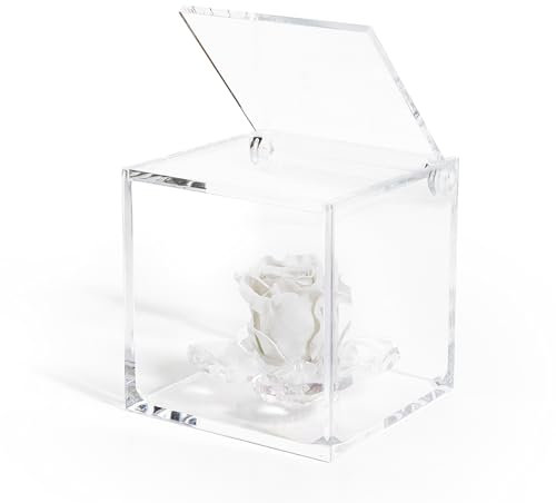 Cubo Rosa stabilizzata con 4 Petali in Cristallo - Idea regalo Perfetto per Festa della mamma. Disponibile in blu, bianco, rosa e rosso. (panna)