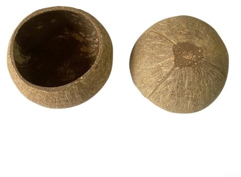 Charmante bougie en coquille de noix de coco faite à la main pour décoration exotique et service de collation (coquille primitive)