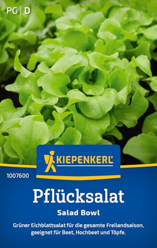 Kiepenkerl Pflücksalatsamen Salad Bowl 1007600, Gemüsesaat | Hochbeet und Töpfe, Inhalt für 300 Pflanzen, Salatpflanzen, Höhe 8-10 cm