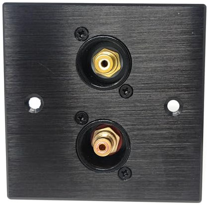 Brushed Aluminium Dual RCA Phono Socket Female AV Audio Video D-Series Outlet Wall Faceplate – Durable Metal Plate with Screws Included