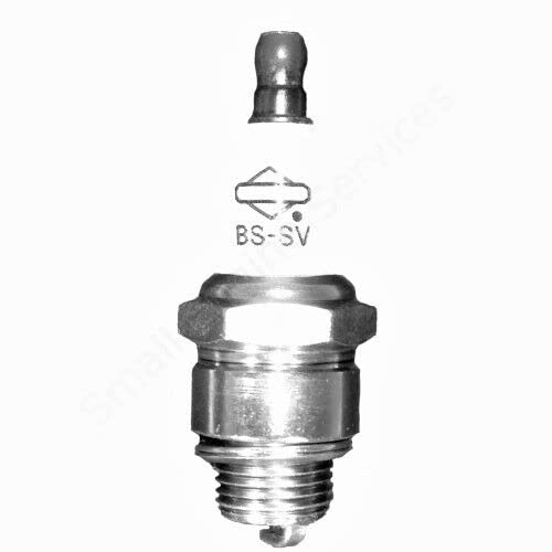 Briggs & Stratton Original-Luftfilter und -Zündkerze, B&S Sprint Classic