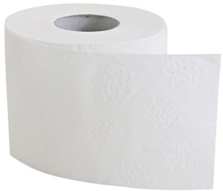 HYGOSTAR Toilet Paper Small Roll 96 Rolls