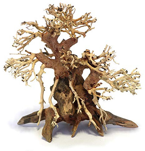 Bonsai Tree Banyan Aquarium Fish Tank AquaScape Hand Picked & Hand Carved (Small)
