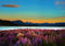 Tushita Postkarte Natur Landschaft Tekapo Dawn
