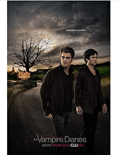 IGHSNZUH Jigsaw Puzzles 1000 Pieces Wood Assembling Picture The Vampire Diaries Movie Poster Adults Games Educational Toys