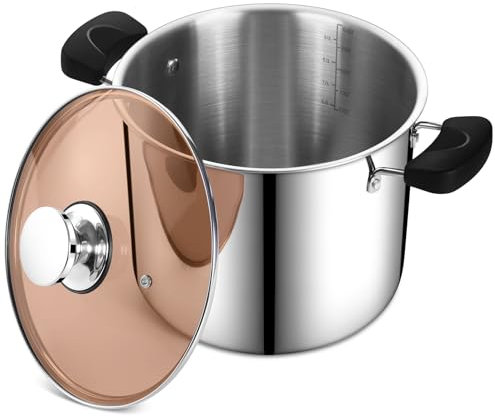 P&P CHEF - Pentola grande da 10 litri con coperchio, pentola a 3 strati in acciaio inox con coperchio per pasta, zuppa e verdure, funziona su piani cottura multipli, resistente e lavabile in