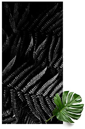 Bilderwelten Vinyl-Teppich - Schwarz Weiß Botanik Farn, 280 × 140 cm, Vinyl