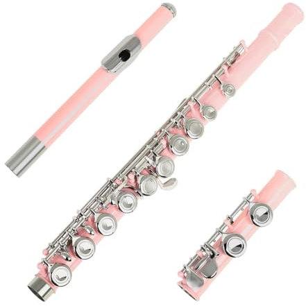 flöte 16 Geschlossene Offene Löcher C-Taste Professionelles Querflöten-Musikinstrument Mit Box Bunte Stockhandschuhe (Color : Pink)