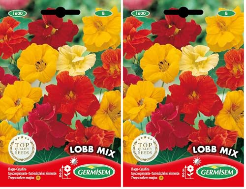 Germisem Lobb Mix Semillas de Berro Capuchino 5 g, EC1600 (Paquete de 2)