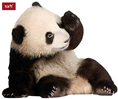1art1 Bären Panda-Baby Wand-Tattoo | Deko Wandaufkleber für Wohnzimmer Kinderzimmer Küche Bad Flur | Wandsticker für Tür Wand Möbel/Schrank 48x40 cm