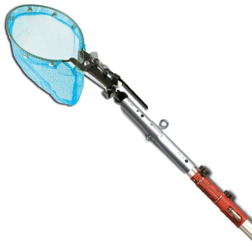 Barnel B177Z - Recogedor de Frutas telescópico (19 cm)