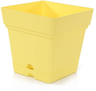 Mintra Home Pot de Fleurs Carré - Plastique Incassable - sans BPA - 17 cm - Planter des Fleurs, Jardinage, Plantes - Durable pour Intérieur, Extérieur, Terrasse, Pelouse et Jardin (Jaune)