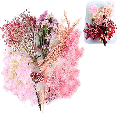 QRTGNA Natürliche getrocknete Blumen, 1 Schachtel Gemischte Getrocknete Blumen, Echt Getrocknete Gepresste Blumen, für DIY Art Craft Card Harz Making Bookmarks Scrapbooking (Rosa)