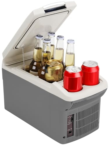 ICEROVER Réfrigérateur de voiture 12 V - 6 litres - 12 V CC et 110 V CA - Réfrigérateur électrique portable compact et thermoélectrique 12 V - Petit réfrigérateur pour voiture, camping-car, camping