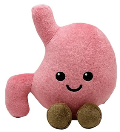 Gefüllte Magenfiguren - Anatomie Plüschpuppe, Wohnkultur Plüsch | Pädagogische Plüschspielzeug, Kleines Plüsch -Cartoon -Magenpuppenspielzeug, Entzückendes Cartoon -Puppenspielzeug Für Wohnzimmer