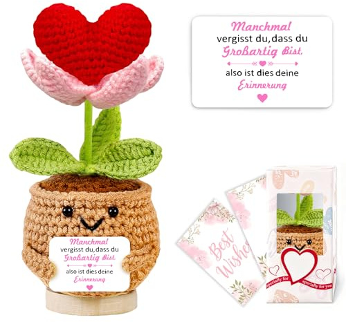 BigNoseDeer Geschenke für Frauen Gehäkelte Herz Deko Glücksbringer Kleines Geburtstagsgeschenk für Beste Freundin Schwester Mutmacher Geschenk Pocket Hug Valentinstag Muttertag Home Decoration