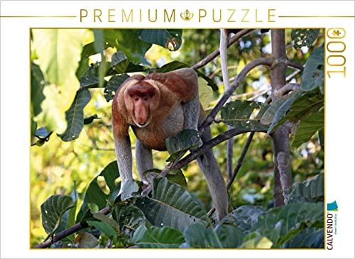 CALVENDO Puzzle Nasenaffe, Borneo | 1000 Teile Lege-Größe 64 x 48 cm Foto-Puzzle für glückliche Stunden