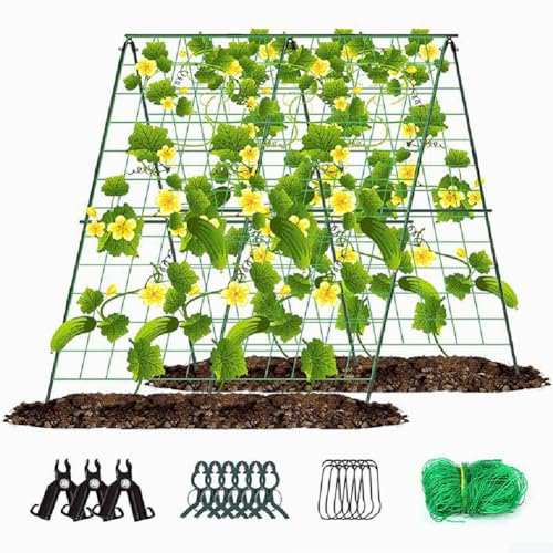 Kletterpflanzen Unterstützung, Faltbare Gurken Rankhilfe Set, Pflanze Klettergerüst für Kletterpflanzen Outdoor, Tomate, Kürbis, Erbsen, Blumen