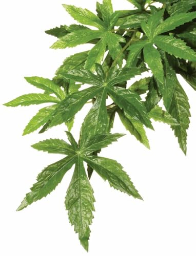 Exoterra Décoration Abutilon Plante Grand Modèle pour Reptiles et Amphibiens