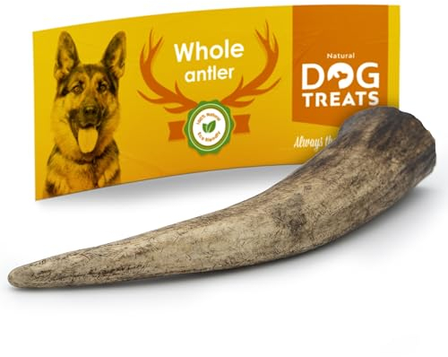 Natural Dog Treats - Hunde Hirschgeweih - Natürlich Hirschgeweih für Hunde - Kauknochen Hund - Kaustangen Hund - Kauspielzeug und Zahnpflege - Hundespielzeug - Kleine Größe (50-75g)