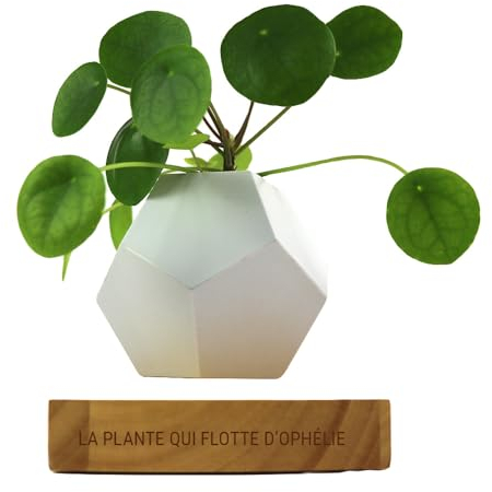 CADEAUX.COM - Plante en lévitation sur Socle en Bois Personnalisé et Gravé - Pot de Fleur Design en Lévitation Magnétique - Idée Cadeau Maman - Cadeau Fête des Mères - Idée Cadeau Femme