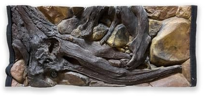 ZooPaul Aquarium Rückwand 3D Amazonas 100x50cm