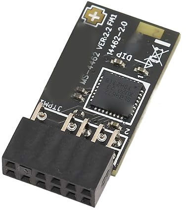 TPM 2.0 Modul, Verschlüsse Lungs Sicherheit mit SLB 9672 für MSI Motherboards, für Win 10 11 Unterstützt